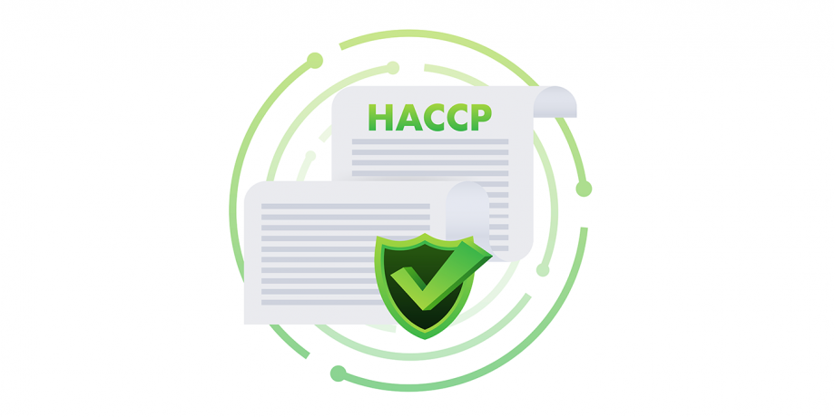 מהו תקן HACCP בייצור מזון?